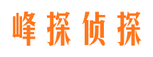 铜梁市调查公司